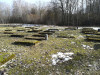 Еврейское кладбище Елгавы, март 2019 г. Остатки полностью уничтоженного еврейского кладбища.