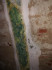 Расцвеченный резной орнамент из шведского известняка в усыпальнице Меллинов - Пистолькорс в Бирини