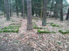 Еврейское кладбище Тукумса, ноябрь 2019 г. Вероятно 'старая' часть кладбища.