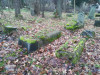 Еврейское кладбище Тукумса, декабрь 2019 г. Памятники на 'средней' части кладбища.
