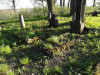 Немецкое кладбище Сеце, апрель 2020 г. Монолитные надгробники из белого шведского известняка.
