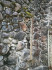 Семейный склеп Меллин и Пистелькорс, Бирини, Либажский край, август 2020 г. Развалины склепа. Каменная кладка стен склепа.