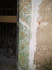Семейный склеп Меллин и Пистелькорс, Бирини, Либажский край, август 2020 г. Развалины склепа. Барельефные украшения стен, тонированные зеленой краской.