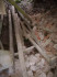 Семейный склеп Меллин и Пистелькорс, Бирини, Либажский край, август 2020 г. Внутренняя часть развалин склепа.