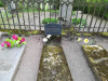 Кладбище Приедиена, г. Дурбе, май 2020 г. Место захоронения представителей фамилии Мейер рядом с могилой Анны Мейеровиц.