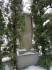 Кладбище Межа, Рига, 21.01.2021. Тыльная сторона памятника З.А. Мейеровицсу.