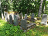 Иудейское (еврейское) кладбище Зилупе, июль 2020 г. Оставшаяся не поврежденной центральная часть кладбища.