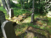 Иудейское (еврейское) кладбище Зилупе, июль 2020 г. Уцелевшие надгробия.