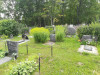 Иудейское (еврейское) кладбище Лудзы, июль 2020 г. Захоронения на действующей части кладбища.