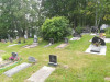 Иудейское (еврейское) кладбище Лудзы, июль 2020 г. Захоронения на действующей части кладбища.