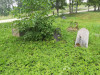 Иудейское (еврейское) кладбище Лудзы, июль 2020 г. Феномен 'наклонившихся' памятников.