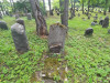 Иудейское (еврейское) кладбище Лудзы, июль 2020 г. Надгробия 20-30 годов 20 века. Часть кладбища на фоне озера Малая Лудза.