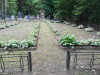 Иудейское (еврейское) кладбище Асоте, Крустпилс, июль 2020 г. Общий вид братского захоронения на кладбище Асоте.