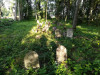 Иудейское (еврейское) кладбище, Екабпилс, июль 2020 г. Заброшенная часть кладбища.