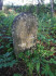 Иудейское (еврейское) кладбище, Екабпилс, июль 2020 г. Заброшенная часть кладбища.
