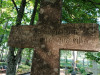 Дундагский край, Дундагская волость, кладбище Валпене, июнь 2022. Место захоронения Кристине Кромберг (Барон), верхняя часть могильного креста