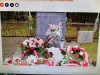 Фото из интернета Памятник на месте захоронения Константина Чаксте