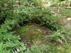 Тыльная сторона монумента Я. Чаксте Рига, Лесное кладбище, июль 2024